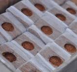 Coco Hanging Baskets